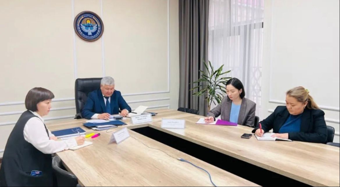 Кыргыз Республикасынын Энергетика министрилиги электр энергиянын альтернативдүү булактарын колдонуу үчүн  япониялык «Метарайз Жапан» компаниясы менен биргеликте пилоттук долбоорду ишке ашырууну пландаштырууда