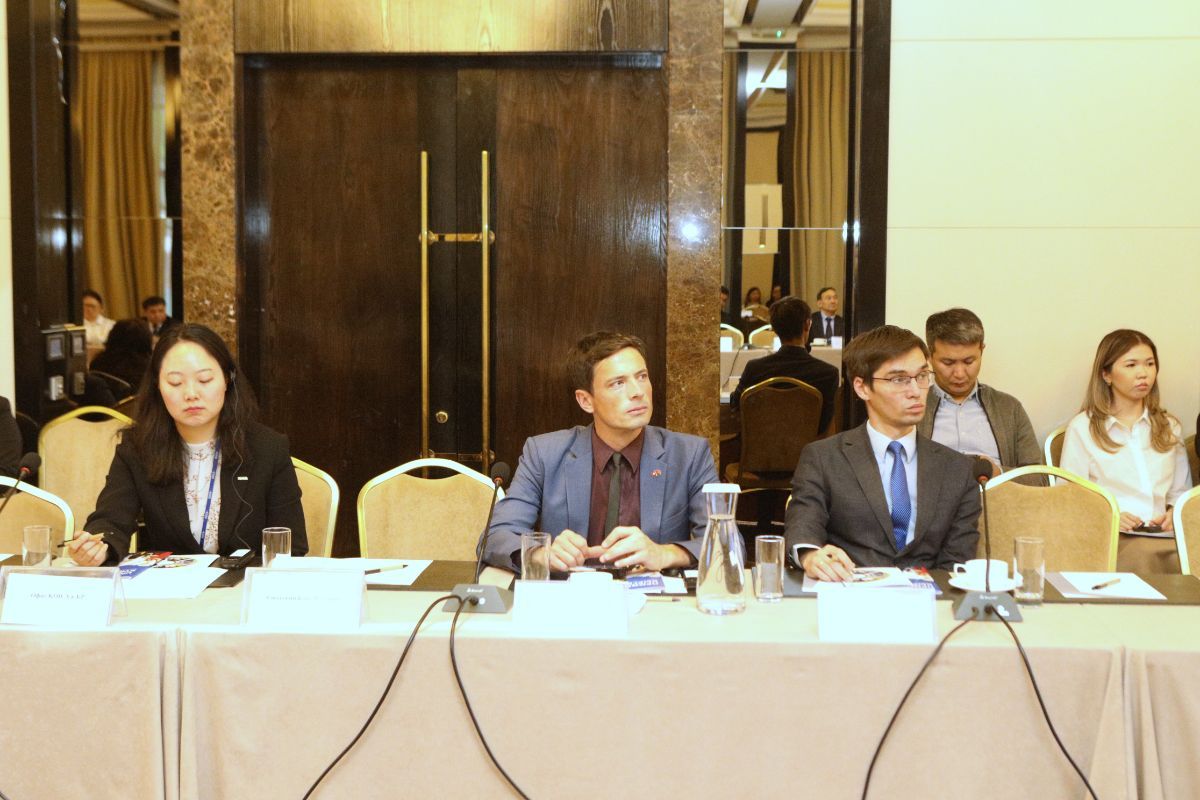 The First Deputy Minister H.E. Asein Isaev took part in the Country Program Committee of the UNDP in the Kyrgyz Republic