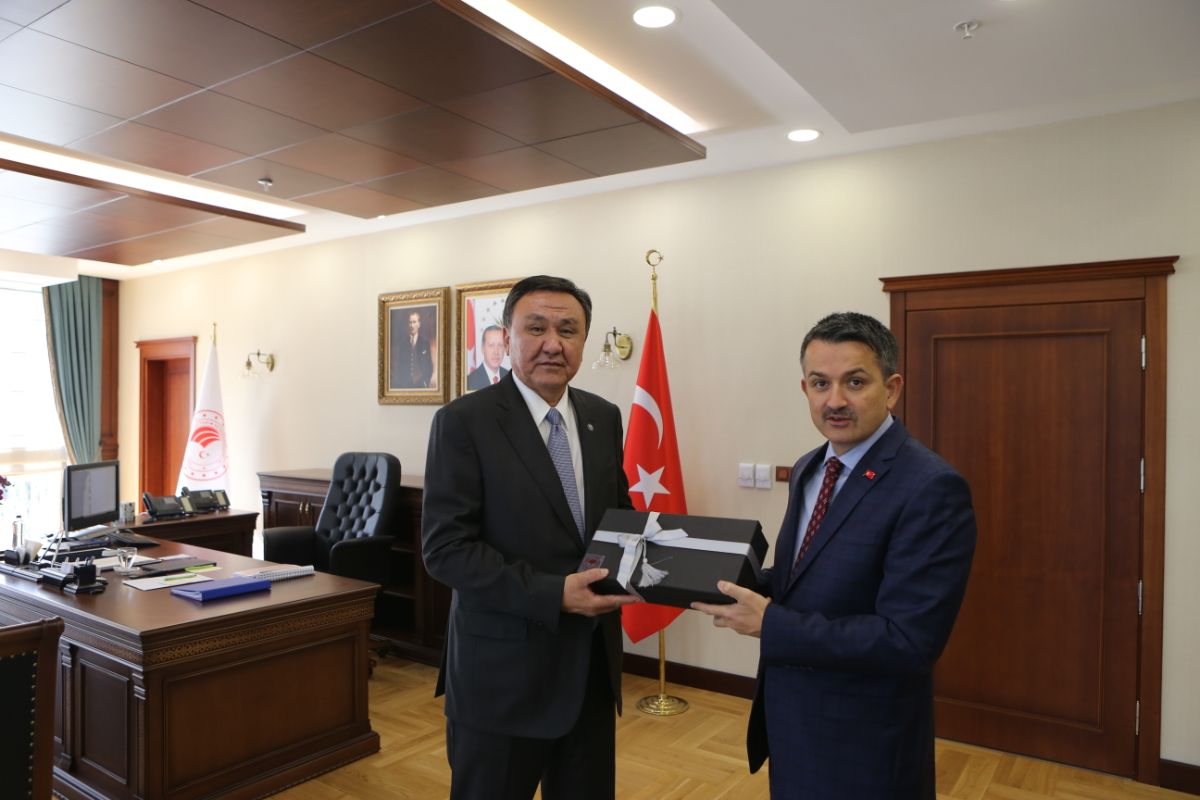 On September 27, 2019, there was the meeting of Ambassador Extraordinary and Plenipotentiary of the Kyrgyz Republic to the Republic of Turkey Kubanychbek Omuraliev with Minister of Agriculture and Forestry of the Republic of Turkey Bekir Pakdemirli