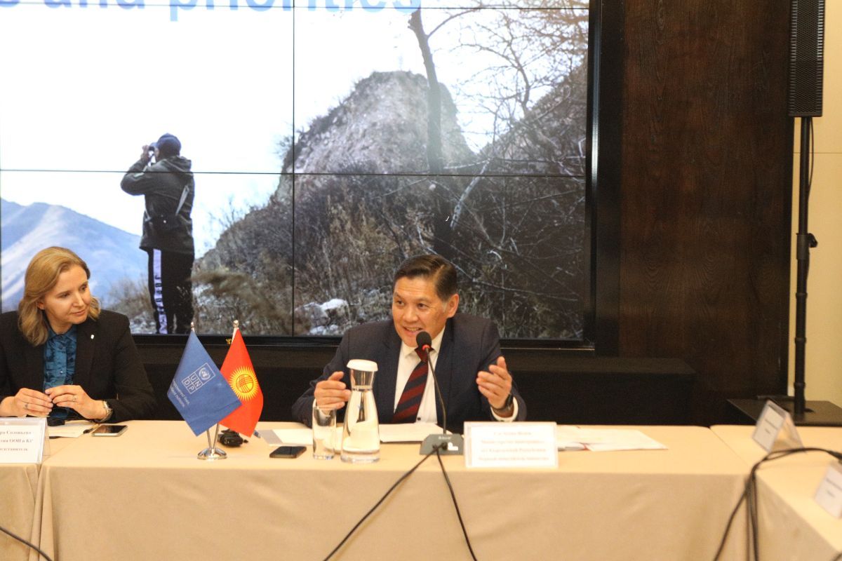 Первый заместитель министра Асеин Исаев принял участие в Страновом Программном комитете ПРООН в Кыргызской Республике