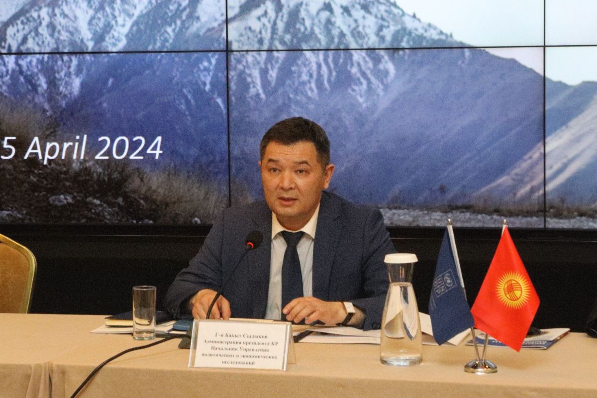 Первый заместитель министра Асеин Исаев принял участие в Страновом Программном комитете ПРООН в Кыргызской Республике