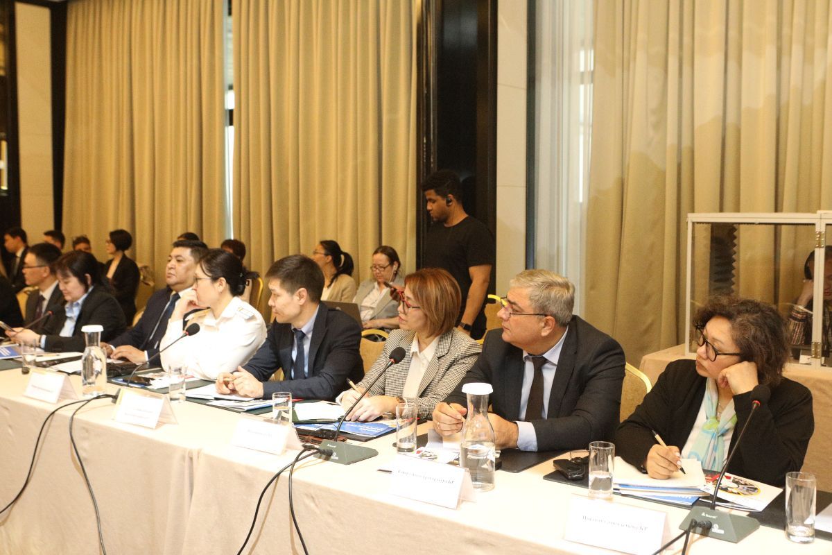 The First Deputy Minister H.E. Asein Isaev took part in the Country Program Committee of the UNDP in the Kyrgyz Republic